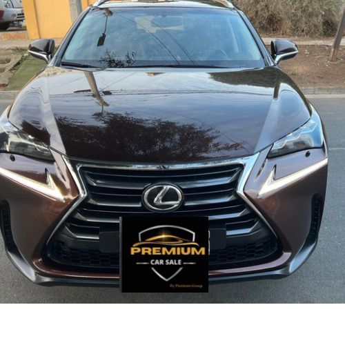 LEXUS NX200T  4 X 4  2.0 AT 2018